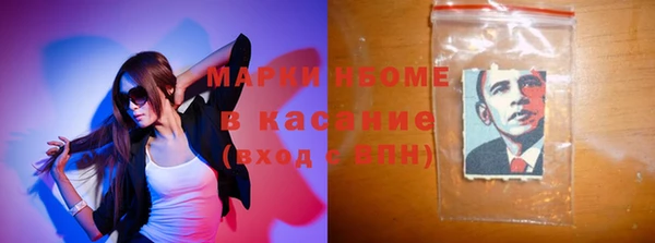 прущие грибы Алзамай