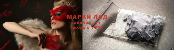 прущие грибы Алзамай