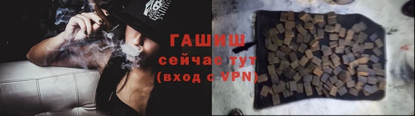 прущие грибы Алзамай