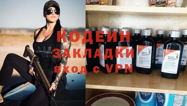 прущие грибы Алзамай