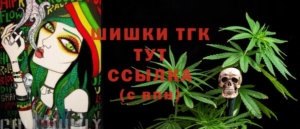 прущие грибы Алзамай
