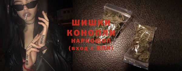 прущие грибы Алзамай